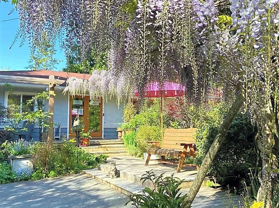 Wisteria Guest House-1